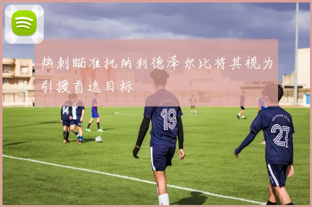 热刺瞄准托纳利德泽尔比将其视为引援首选目标