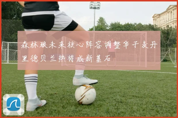 森林狼未来核心阵容调整华子麦丹里德贝兰热将成新基石